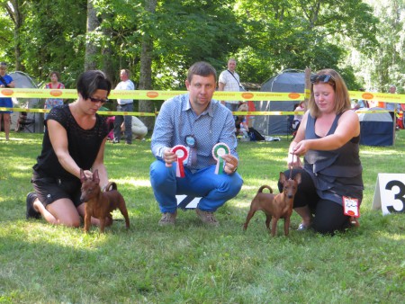 Haapsalu 26.7-14 Dex ROP-baby & Elli VSP-baby